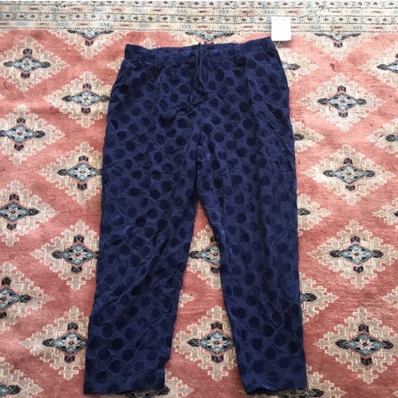 Anthropologie Pants - Anthropologie Lila navy velvet dot crop pant NWT M